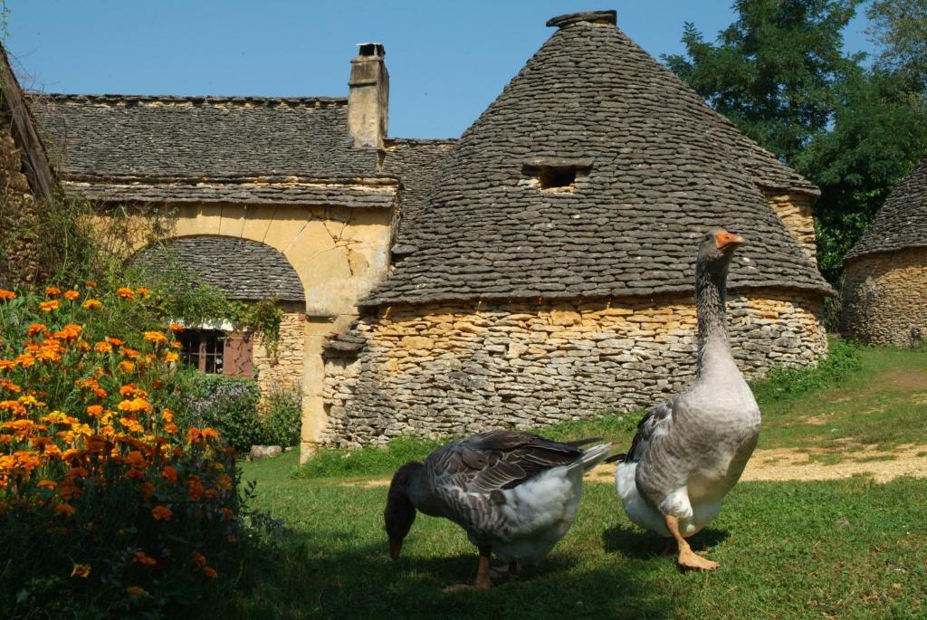 Madame Vacances - Residence Du Golf D'Armagnac Eauze Bilik gambar